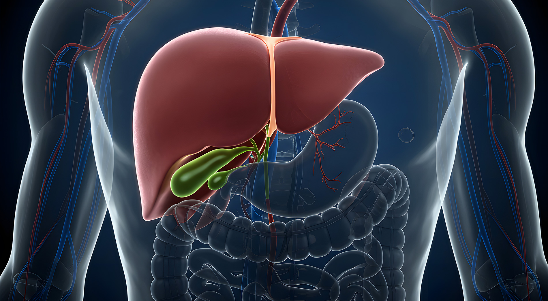 Cancer des voies biliaires et de la vésicule biliaire